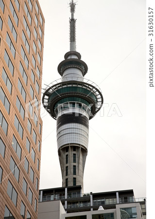 Auckland New Zealand Auckland New Zealand 31630157