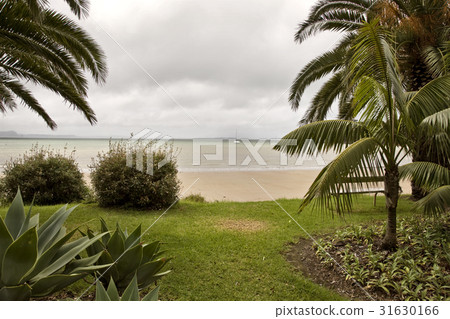 Stanmore Bay New Zealand Stanmore Bay New Zealand 31630166