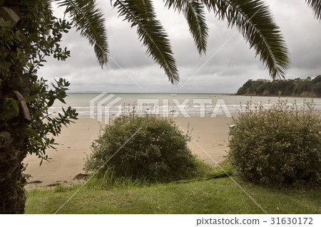 Stanmore Bay New Zealand Stanmore Bay New Zealand 31630172