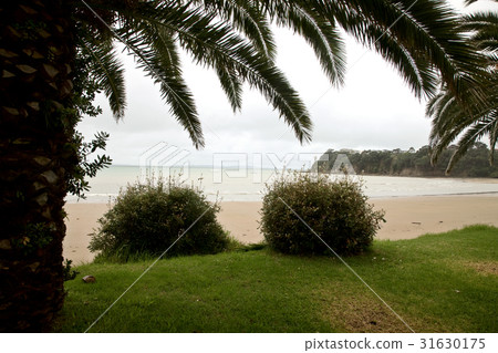 Stanmore Bay New Zealand Stanmore Bay New Zealand 31630175