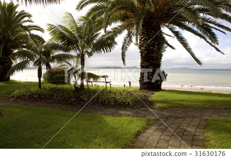 Stanmore Bay New Zealand Stanmore Bay New Zealand 31630176