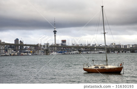 Auckland New Zealand Auckland New Zealand 31630193