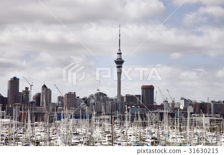 Auckland New Zealand 31630215