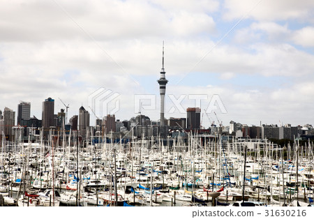 Auckland New Zealand 31630216