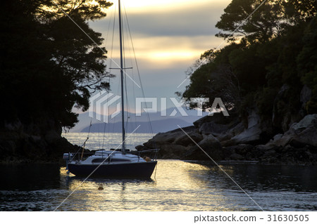 Golden Sand Beach Sail Boat 31630505