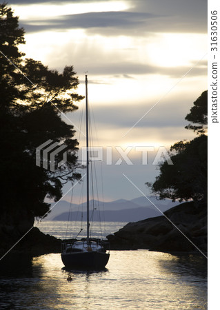 Golden Sand Beach Sail Boat 31630506