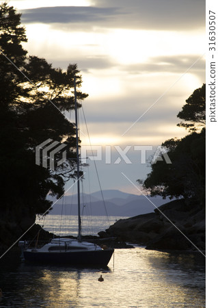 Golden Sand Beach Sail Boat Golden Sand Beach Sail Boat 31630507