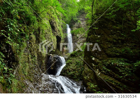 Ryuka Falls Ryuka Falls 31630534