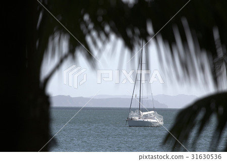 Stanmore Bay New Zealand Stanmore Bay New Zealand 31630536