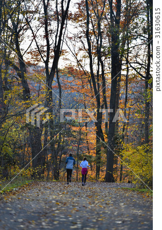 Jogging Jogging 31630615