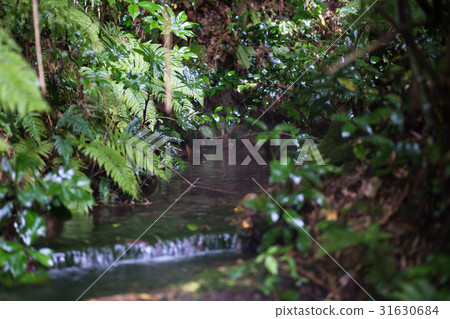 Flow going water Flow going water 31630684