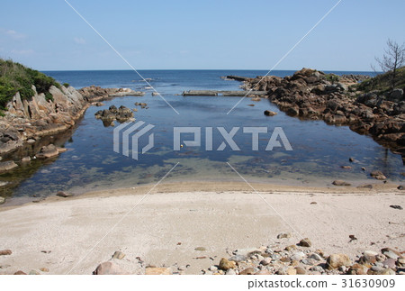 福井縣三國町的海岸背後 31630909