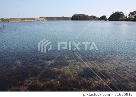 福井縣三國町的海岸背後 31630912