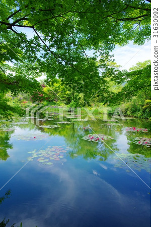 莫奈的花園 31630992