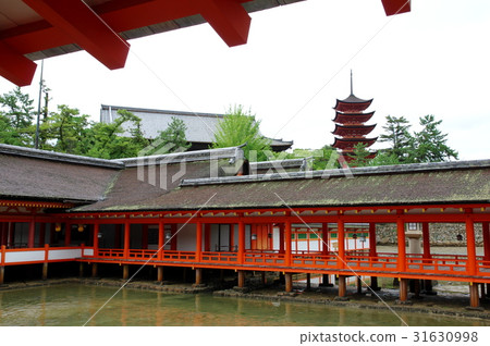 嚴島神社 31630998