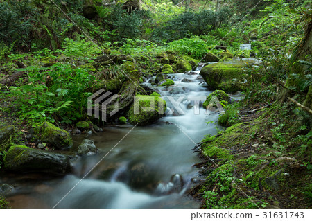 Kidanusawa Stream 31631743