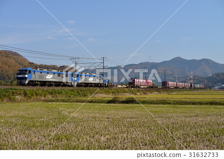 EF 210 - 2 + EF 210 - 14 Container Freight Train 31632733