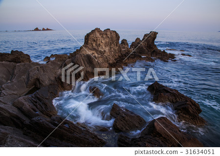 真鶴半島維納斯帶 真鶴半島維納斯帶 31634051