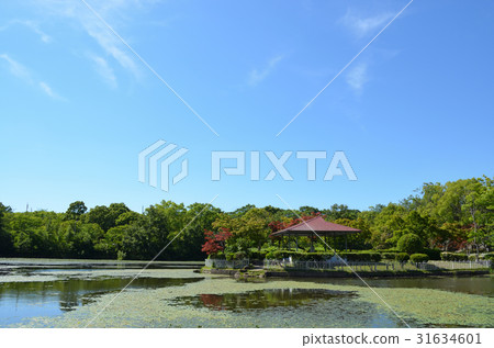 小池公園(春日井市) 小池公園(春日井市) 31634601