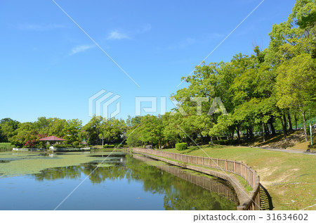 Koike Park (Kasugai city) 31634602