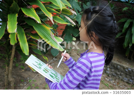Asian children learning biology plant species. Asian children learning biology plant species. 31635003