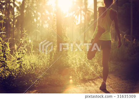 runner stretching legs before running at forest   31635309