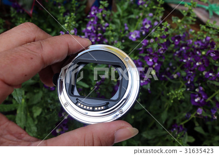 Adapter macro lens with flowers in the garden. Adapter macro lens with flowers in the garden. 31635423