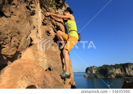 young woman rock climber climbing at seaside cliff young woman rock climber climbing at seaside cliff 31635560
