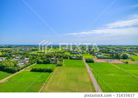 Aerial view of Takane Kozo Hongo Ichimatsu in Chosei village, Chiba prefecture 31635637