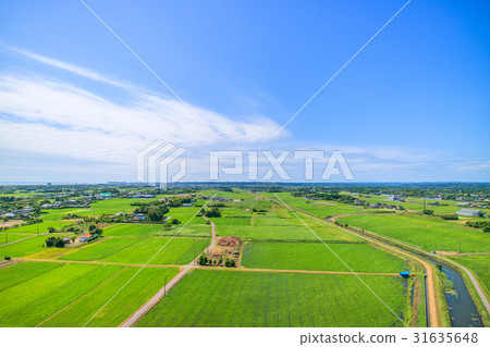 Takane Kozo Hongo Ichimatsu鳥瞰圖在Chibai村莊,千葉縣 Takane Kozo Hongo Ichimatsu鳥瞰圖在Chibai村莊,千葉縣 31635648