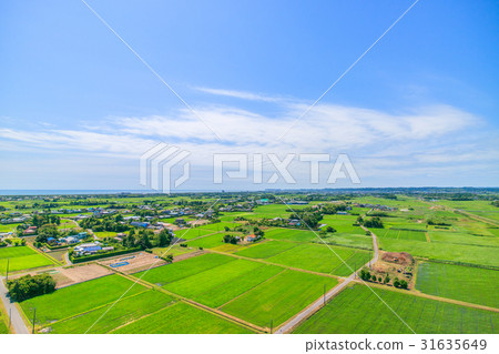 Takane Kozo Hongo Ichimatsu鳥瞰圖在Chibai村莊,千葉縣 Takane Kozo Hongo Ichimatsu鳥瞰圖在Chibai村莊,千葉縣 31635649