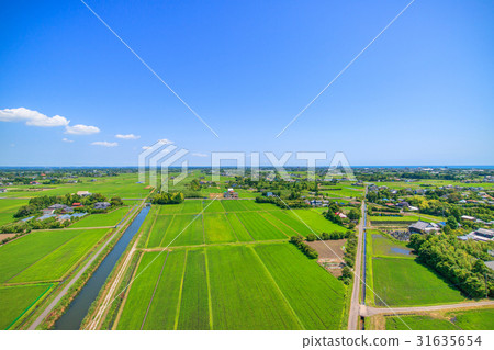 Aerial view of Takane Kozo Hongo Ichimatsu in Chosei village, Chiba prefecture Aerial view of Takane Kozo Hongo Ichimatsu in Chosei village, Chiba prefecture 31635654