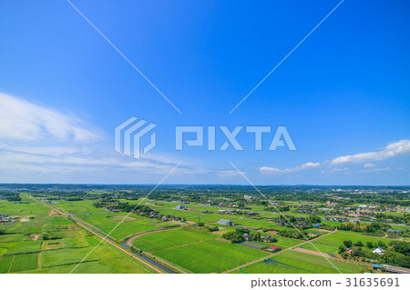 Aerial view of Takane Kozo Hongo Ichimatsu in Chosei village, Chiba prefecture 31635691