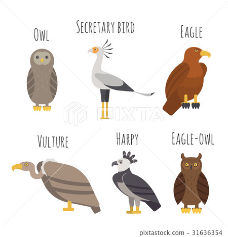 Vector set of Colorful birds of prey icons. Vector set of Colorful birds of prey icons. 31636354