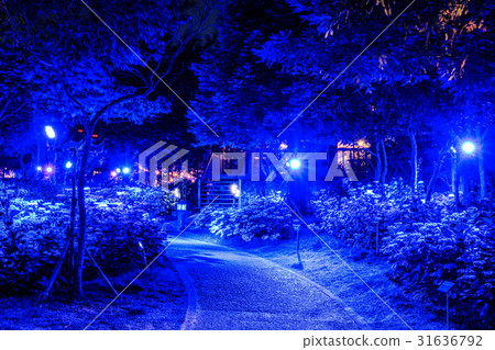 Lodge and hydrangea blue light up 31636792