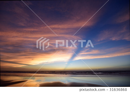夕陽 31636868