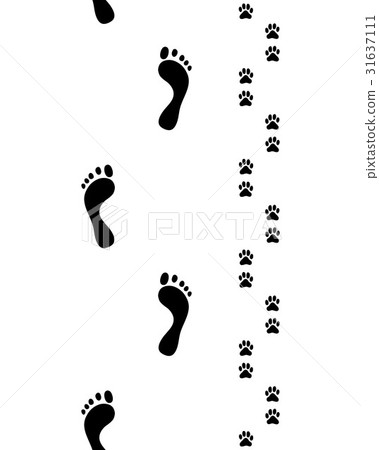 feet and dog paws,seamless 31637111