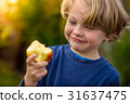 cute 5 year old child eating an apple 31637475