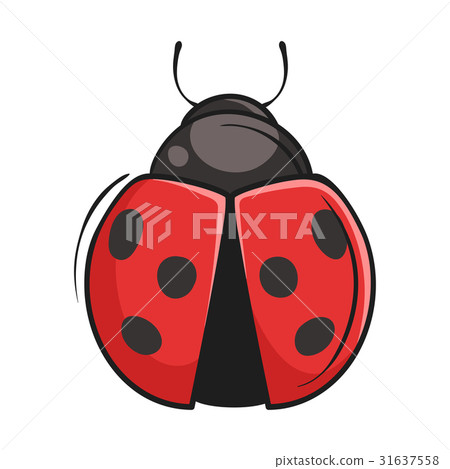 Vector hand drawn illustration of ladybug 31637558