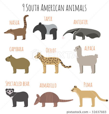 Vector Set Of South American Animals Icons Stock Illustration 31637883 Pixta