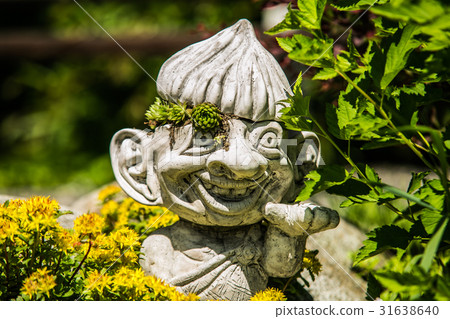 Succulent plants in the garden  31638640