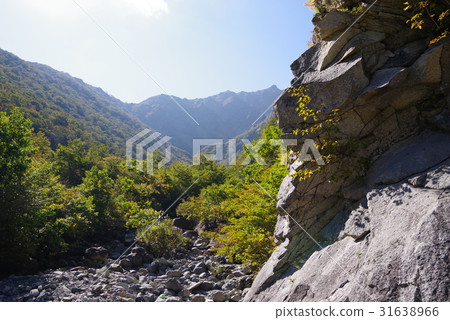 谷川山 谷川山 31638966