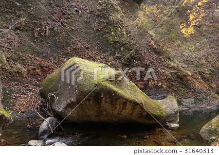 Red leaves River valley whale rock 31640313
