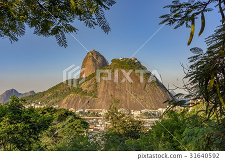 Sugar Loaf hill and forest Sugar Loaf hill and forest 31640592