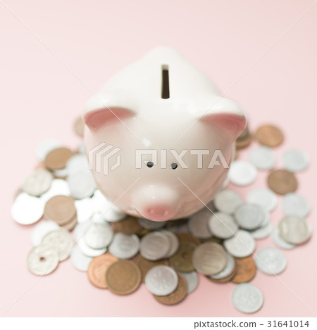 Pig piggy bank and money Pig piggy bank and money 31641014