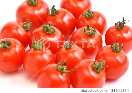 Mini Tomato Mini Tomato 31641224