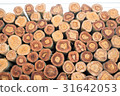 Closeup of a pile cut timber 31642053