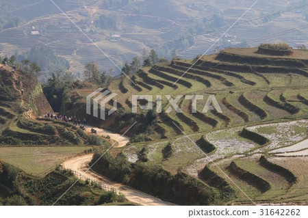 Vietnam · Sapa Vietnam · Sapa 31642262
