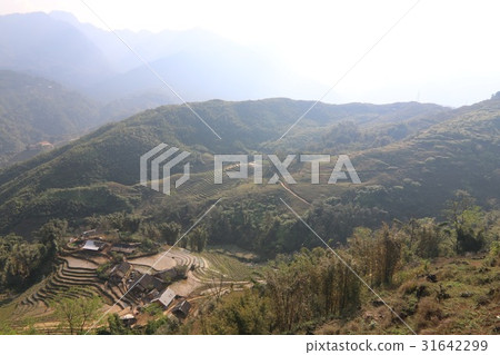 Vietnam · Sapa Vietnam · Sapa 31642299