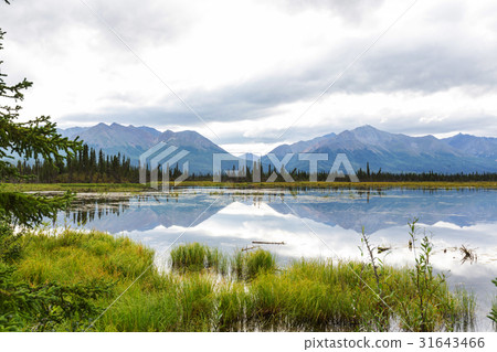 Lake in Alaska 31643466